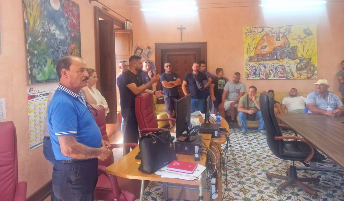 Bestiame con la lingua blu, è emergenza per gli allevatori del crotonese - 