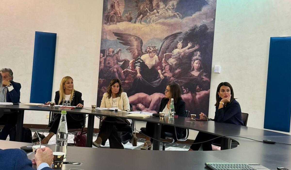 Politiche sociali e Servizio civile, la Calabria all'incontro col Ministero per una strategia condivisa - 
