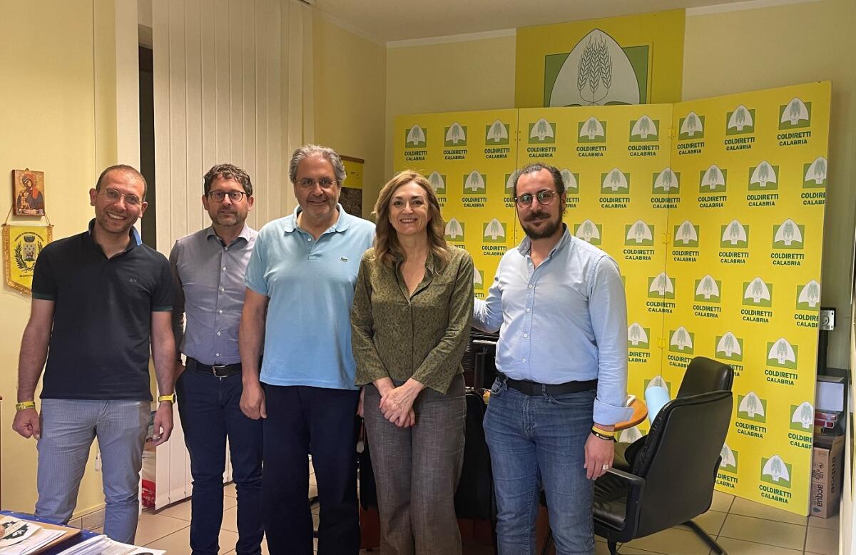Turismo delle radici e promozione delle aree rurali: sinergia fra Unical e Coldiretti Calabria - da sinistra Abbruzzese, Ambrogio, Cosentini, Ferrari, Parisi