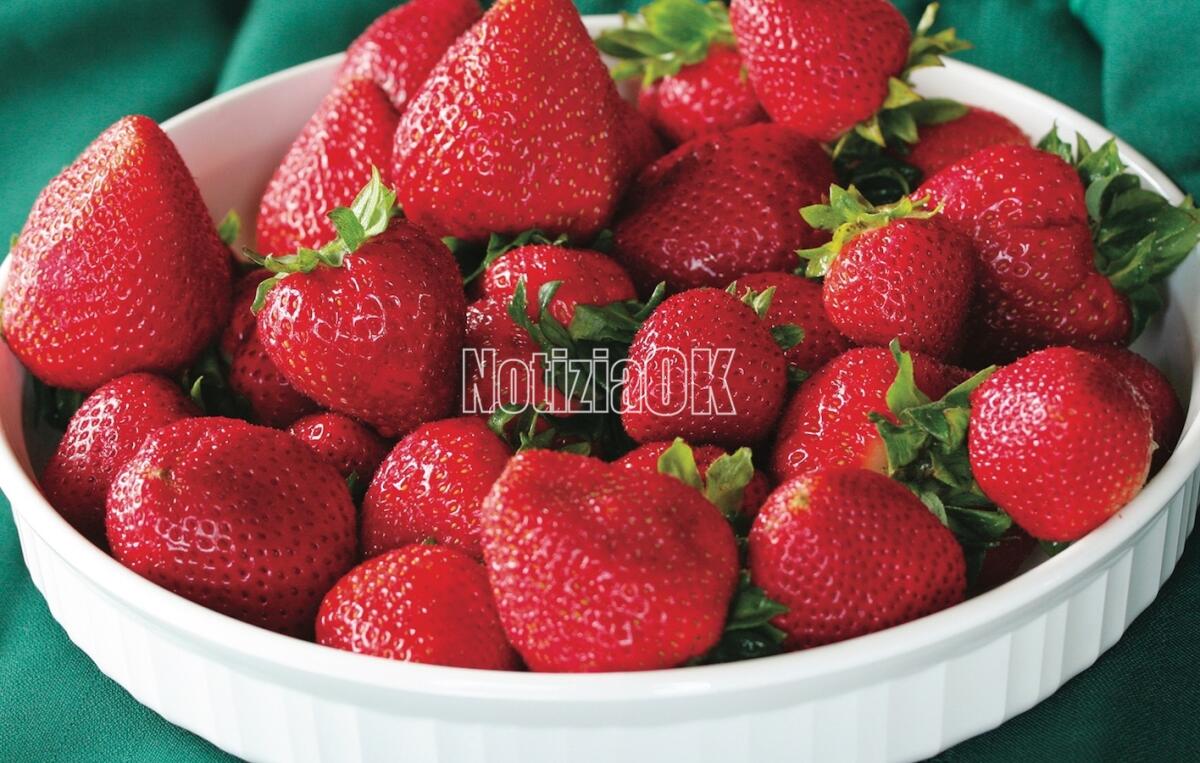 San Giovanni in Fiore, al via la Sagra della fragola e dei frutti rossi della Sila - 02A14MPU