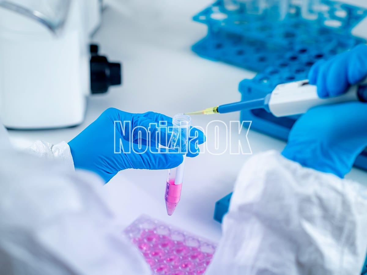 A Castelsilano importante attività di prevenzione - Research and Development of Immunization Vaccine Against Corona Virus