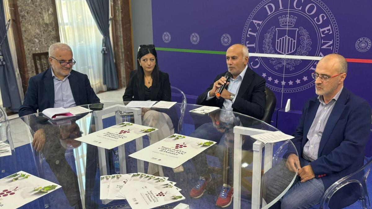 Cosenza - Presentata la 42esima edizione della Sagra dell’uva e del vino doc di Donnici - 