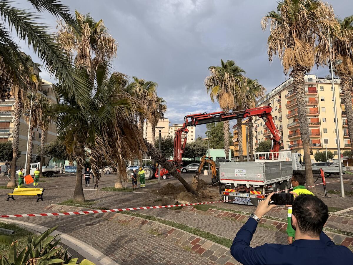Crotone - Sotto l'albero di Natale dei crotonesi ci sarà la statua di Hera - 