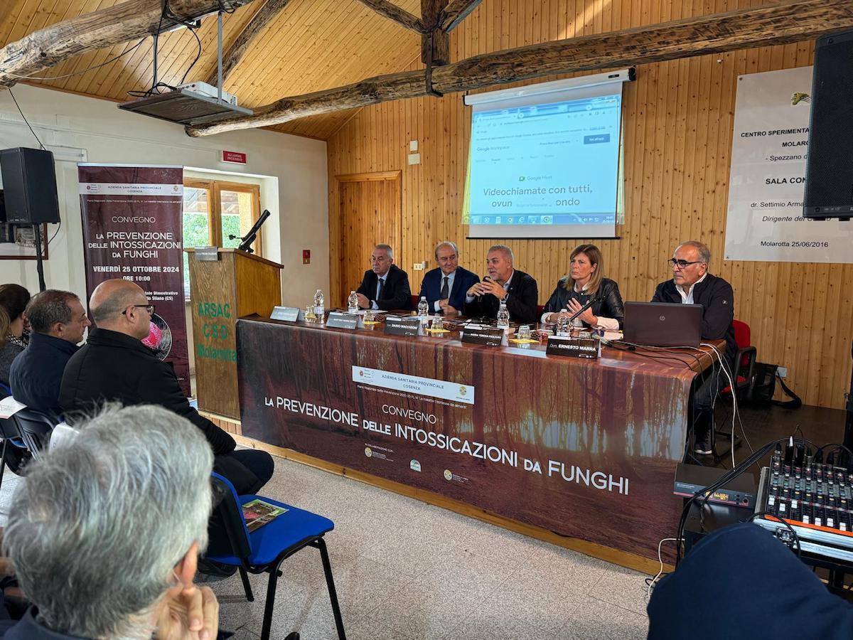 Camigliatello Silano - L'Asp di Cosenza lancia l'allarme sulle intossicazioni da funghi - 