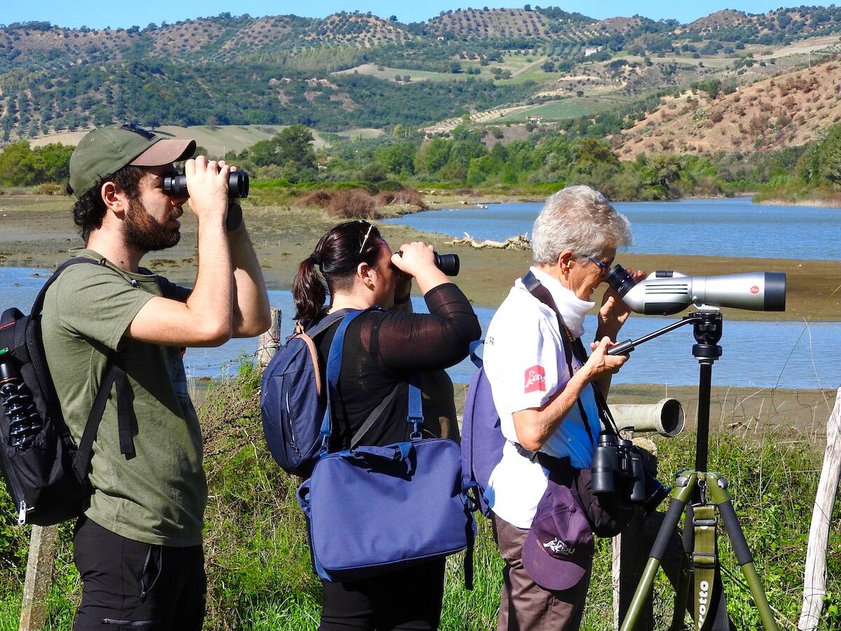 Eurobirdwatch - Sabato e domenica appuntamento con la migrazione degli uccelli - 