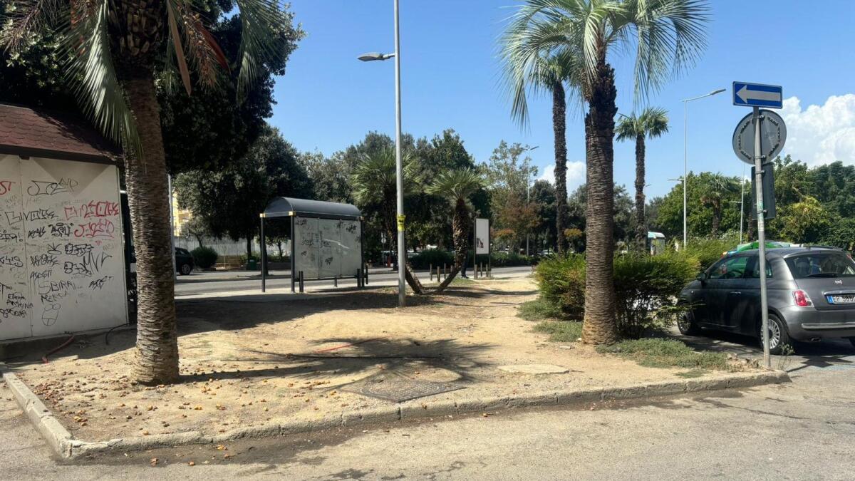 Crotone - Corso Mazzini lancia un SOS (Foto Gallery) - 
