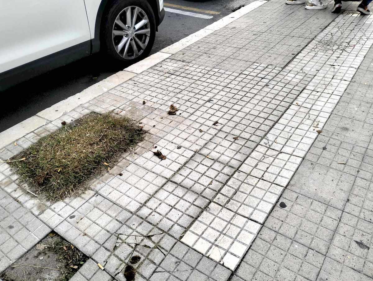 Crotone - Davanti le scuole e in mezza città si fa lo zigzag tra le cacche dei cani - 