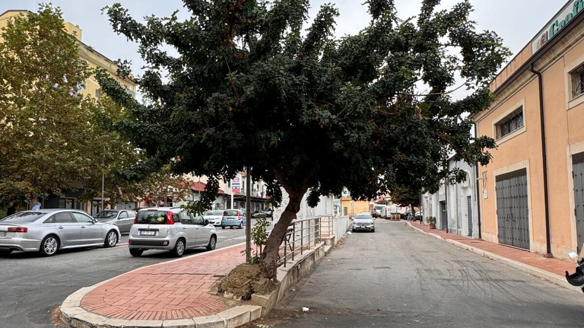 Crotone - Una sfida alla forza di Gravità, fenomeno allo studio dei migliori scienziati - 