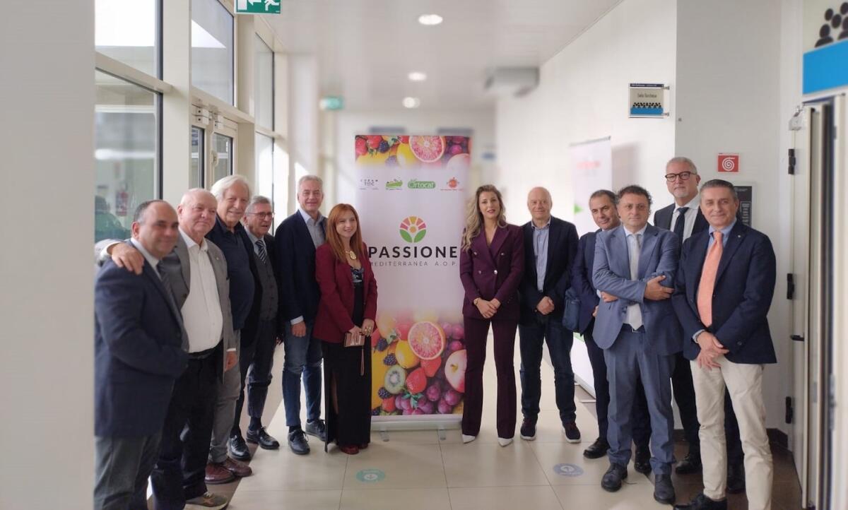 Passione Mediterranea è la prima organizzazione di produttori ortofrutticoli istituita in Calabria - 