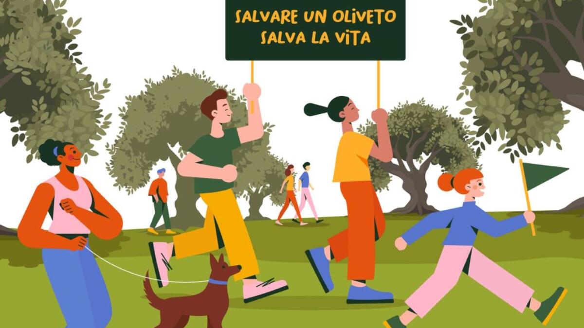 Corigliano-Rossano - Torna l'atteso appuntamento con la Camminata tra gli Olivi - 