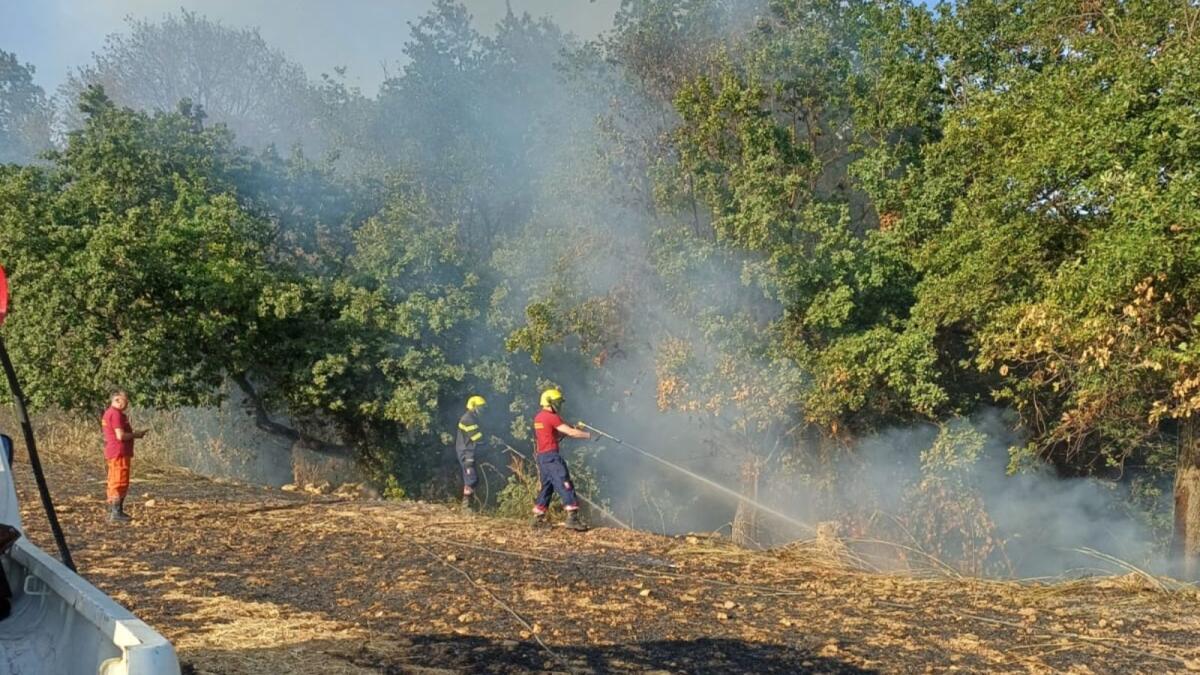 50 incendi divampati tra giugno e ottobre nell’area del Pollino -