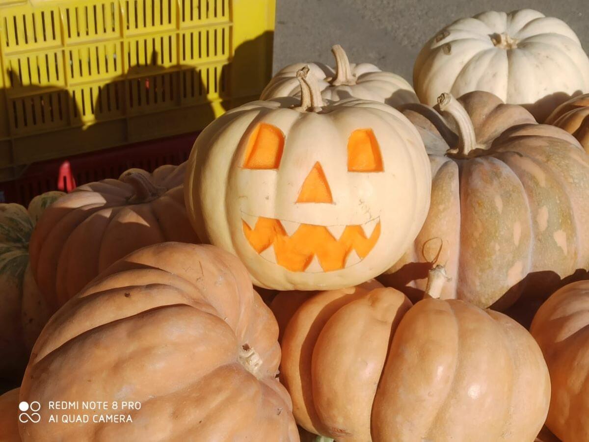 E' la notte di Halloween, la Calabria quarta tra le regioni piú spaventose d’Italia - 