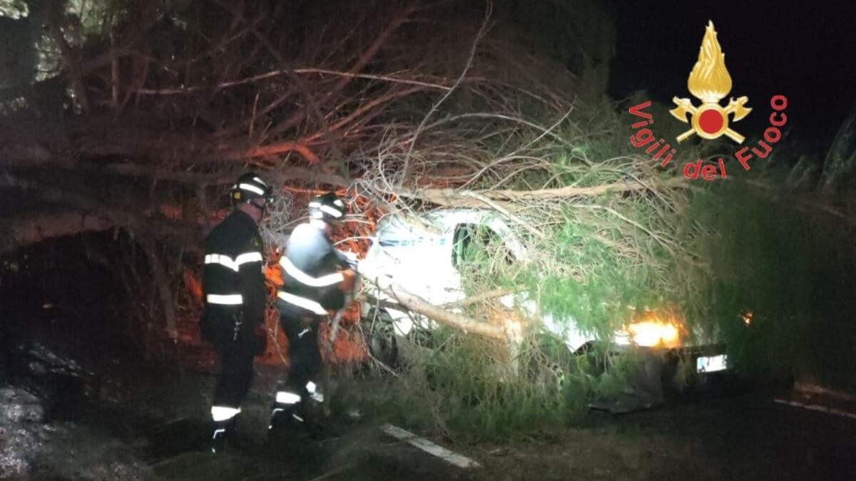 Alluvione Calabria - Continuano le attività di soccorso alla popolazione - 