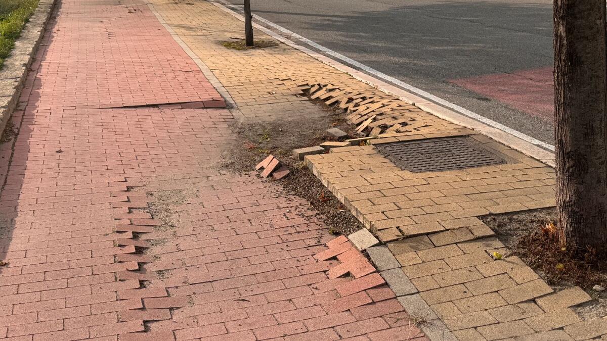 Crotone - Per i ciclisti... quasi quasi è più sicura la strada - 