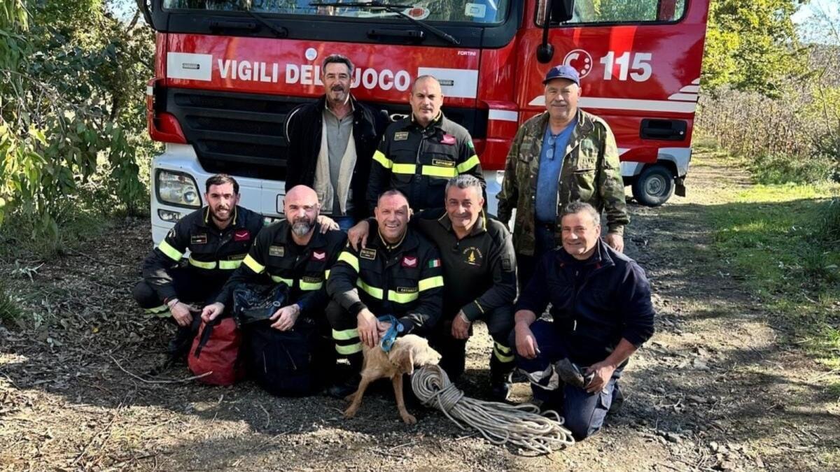 Calabria - Cane da caccia scivola in un dirupo,salvato dai Vigili del Fuoco - 