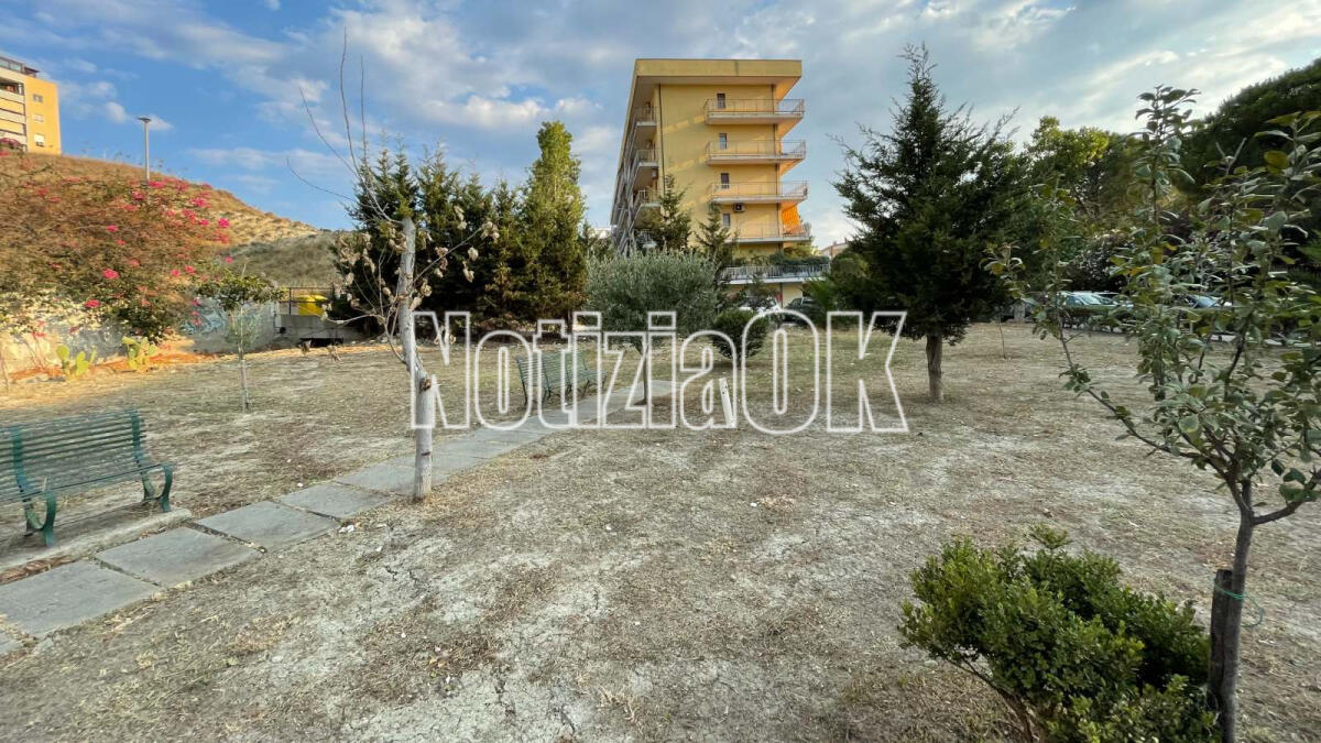 Crotone - Per la festa dell'albero un nuovo ulivo nel giardino Falcone e Borsellino - 