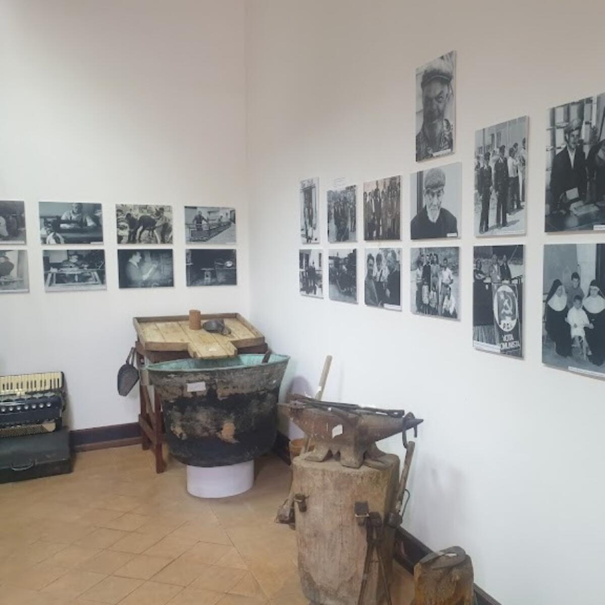 Isola C. R. - Una nuova fase di valorizzazione per il Museo Civico di Storia Naturale e Demologico - 
