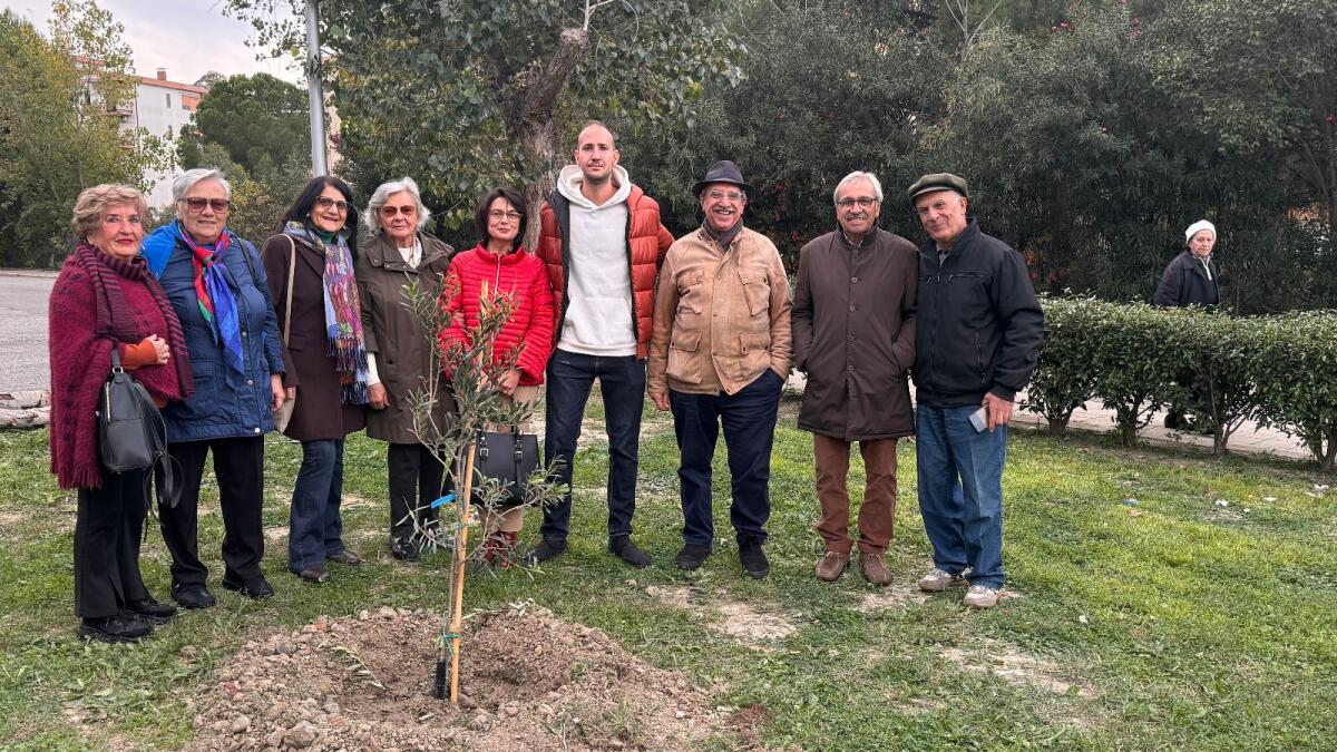 Crotone - Italia Nostra: «Non c'è transizione ecologica senza alberi» - 