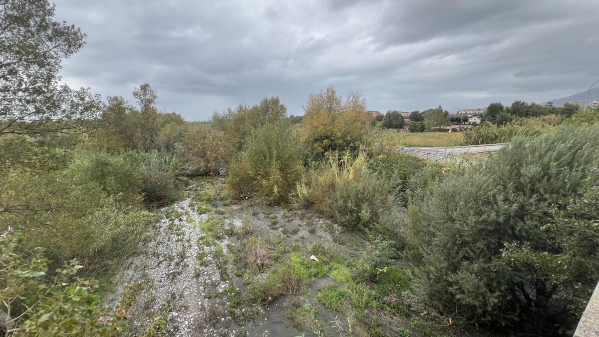 Santa Maria del Cedro - Autorizzata la pulizia del fiume Abatemarco - 