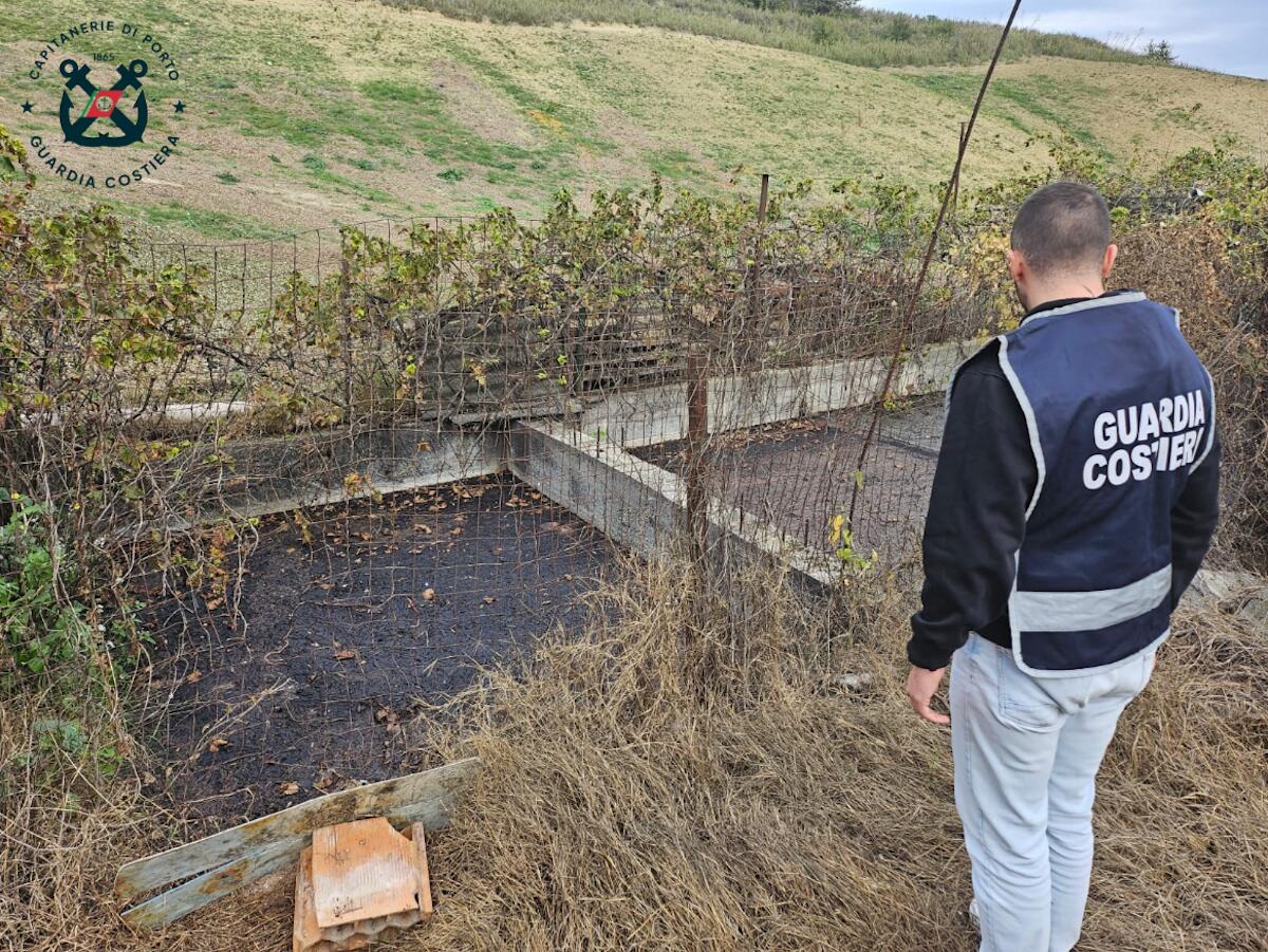 Controlli negli oleifici del crotonese, accertati diversi illeciti - 