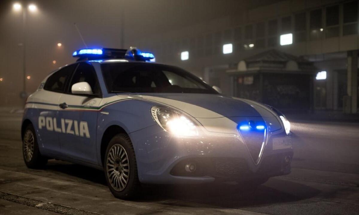 Calabria - Pregiudicato trovato con droga e una carabina, arrestato - 