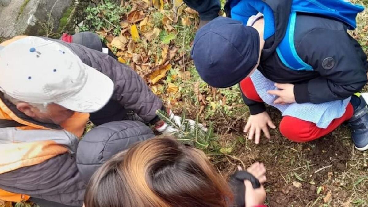 Frascineto - Celebrata con i giovani studenti la Festa dell'Albero -