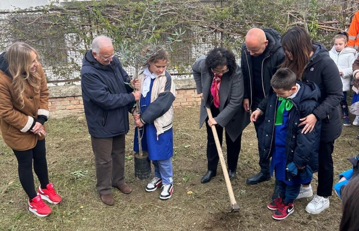 Il Consorzio Olio di Calabria mette a dimora tanti alberi nelle scuole di Casali del Manco -