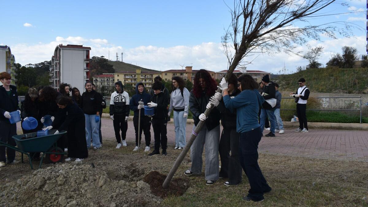 Crotone - Una città più green e vivibile è possibile (Foto Gallery) - 