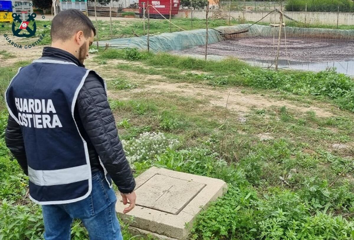 Nuovi controlli negli oleifici del crotonese, individuato scarico abusivo - 