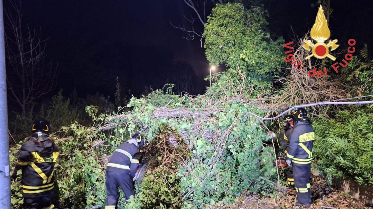 Cosenza - Più di cento le richieste di intervento dei Vigili del fuoco a causa del vento - 