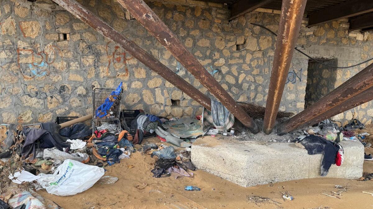 Crotone - Marisa Cavallo :  «E' emergenza igienico-sanitaria sul  lungomare» - 