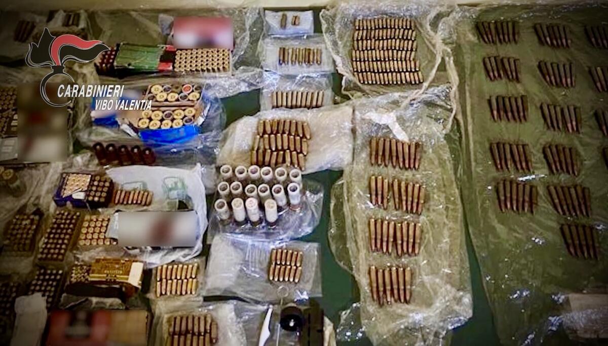 Maxi operazione antidroga dei Carabinieri - 