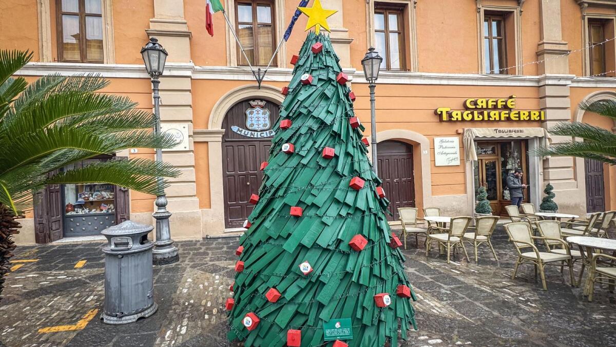Corigliano-Rossano - L'albero di natale Ecoross che fa bene all'ambiente - 