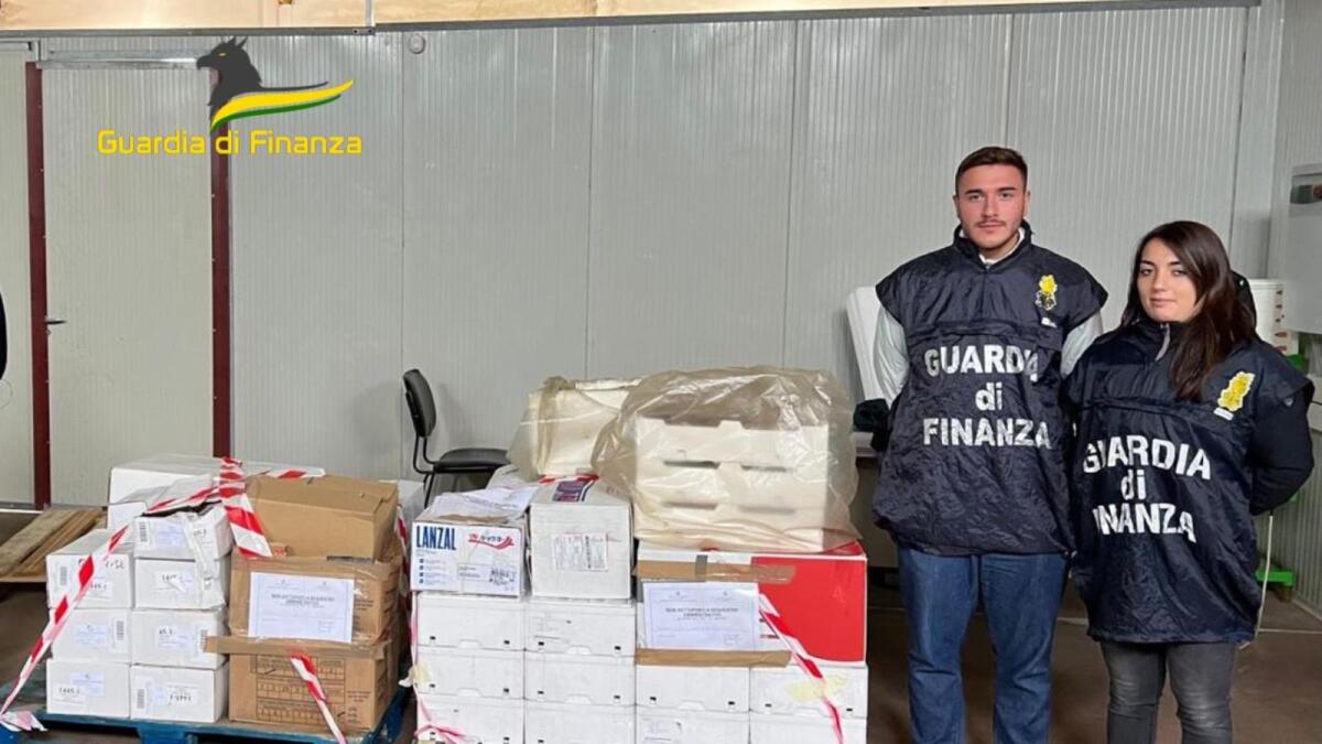 Crotone - Sequestrati 400 kg di pesce e multe per più di 800 euro - 