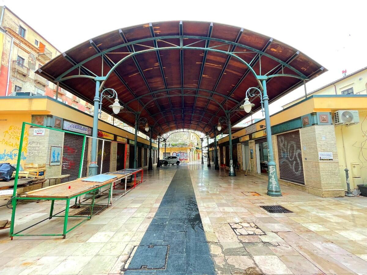 Crotone - Per Festa dei Popoli un albero di Natale che unisce -
