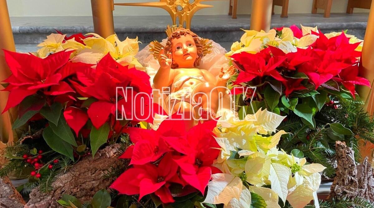 Cutro - Nel giorno dell'Immacolata si benedicono presepe e albero - 