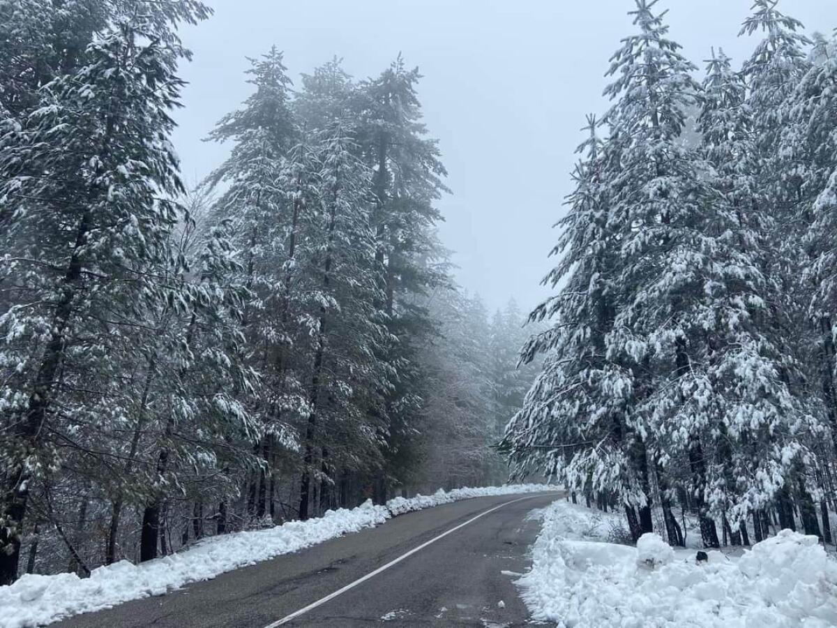 Maltempo in Calabria - Neve sulle strade: Spargisale e spazzaneve in azione sulla 107 "Silana Crotonese" - 