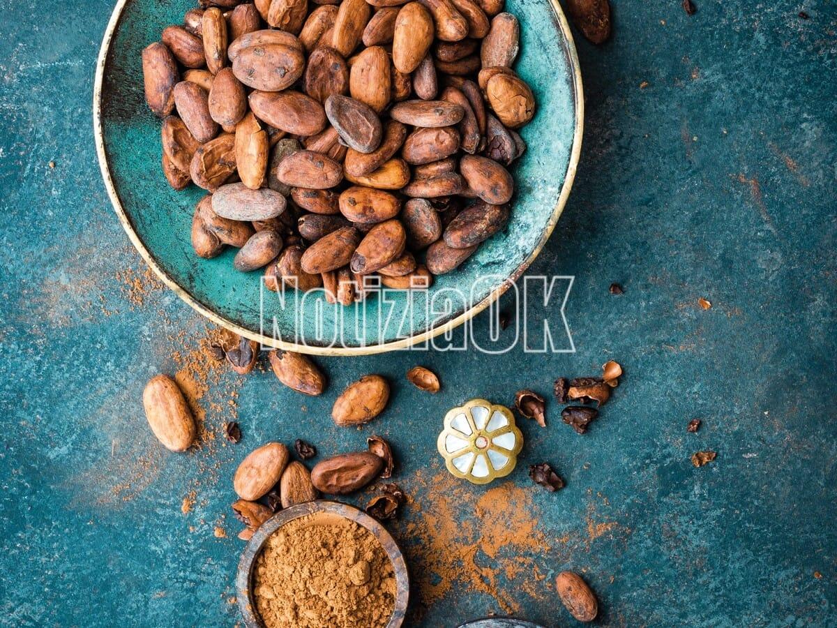 Lifestyle - Un dessert sprint al cioccolato - Cocoa. Cocoa beans, dark bitter chocolate chunks, cacao butter and cocoa powder. Cocoa background