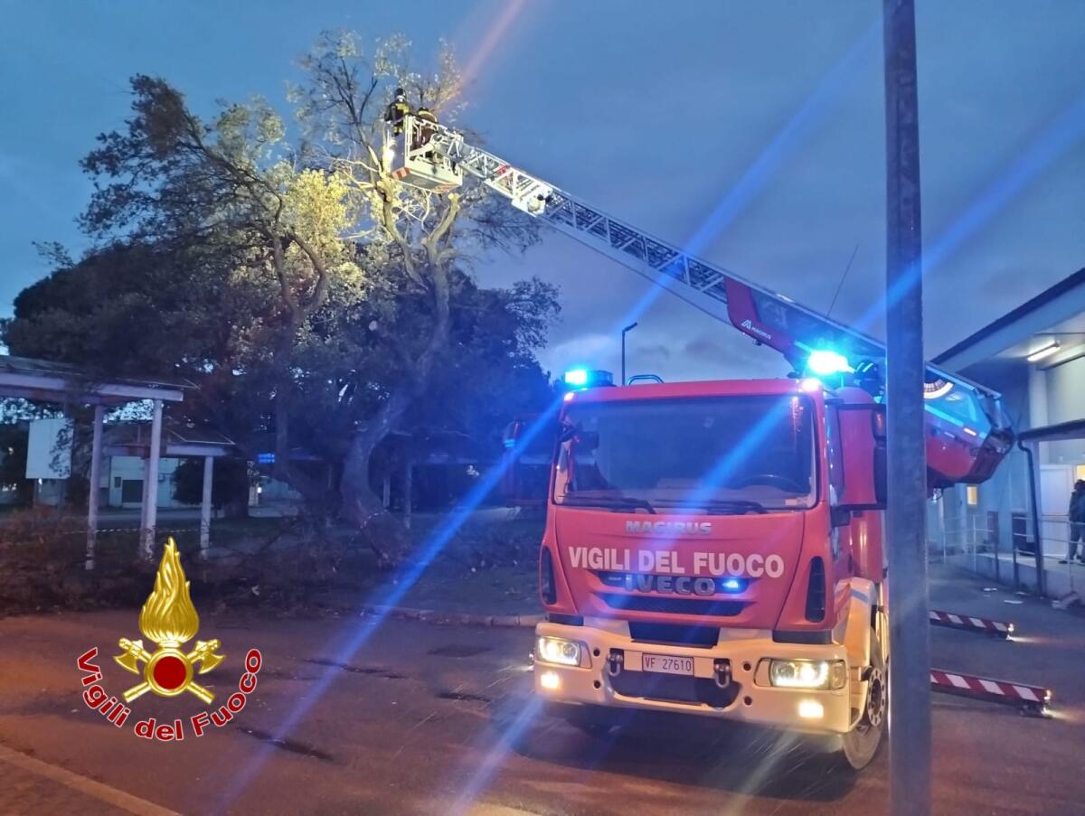 Crotone - Vigilia di vento e pioggia: straordinari per i vigili del fuoco (Foto Gallery) -