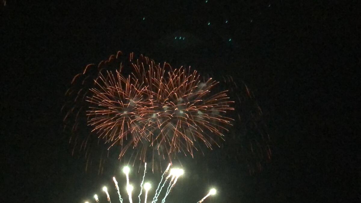 Vietare i "botti" di Capodanno, arriva anche una proposta di legge - 
