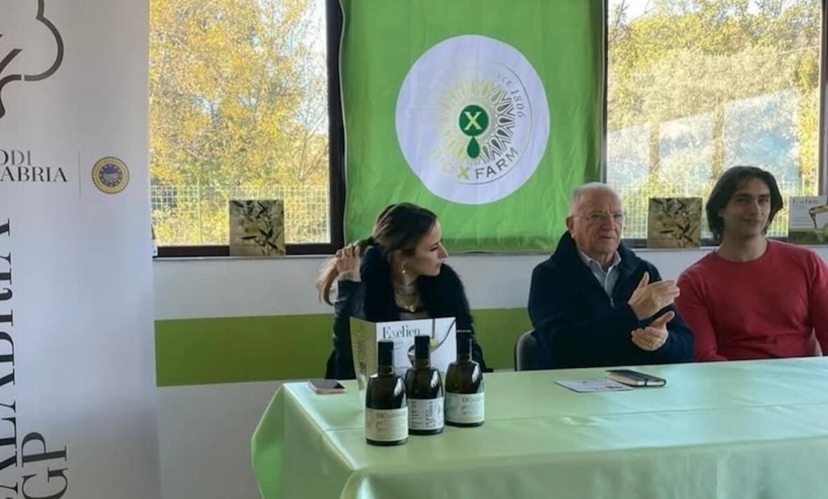 Il tour de "I giorni dell'olio" arriva a Crucoli, elogio alla cultura dell'extravergine - 