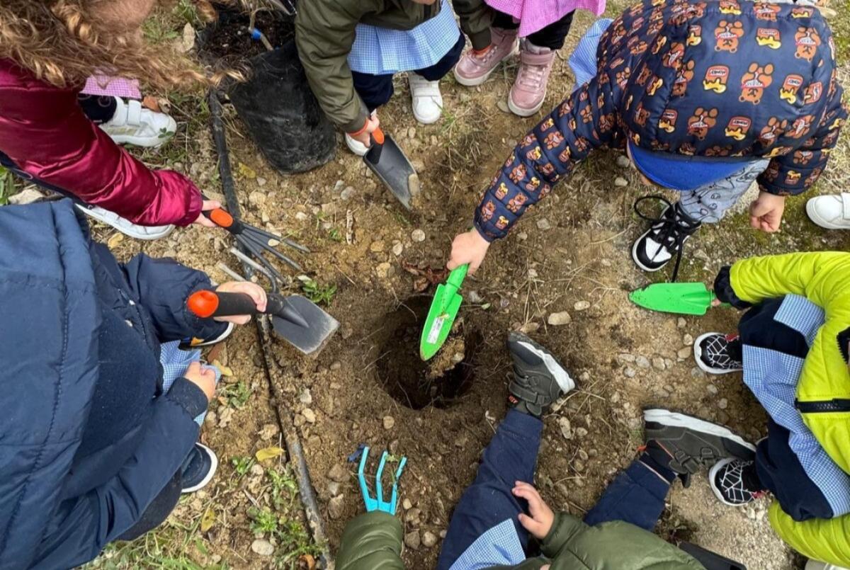 A Bisignano si educa al rispetto della terra - 