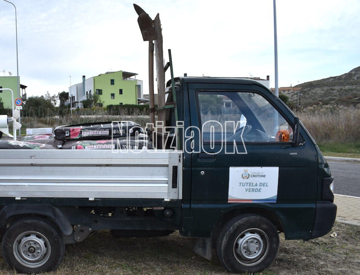 Crotone - A via Roma si passeggerà tra alberi di alloro e lagunaria. Al via i lavori - 