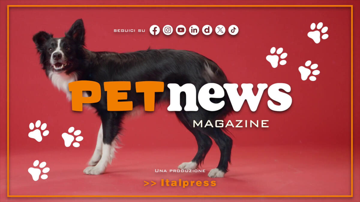 PetNews Magazine - 28/1/2025 - 