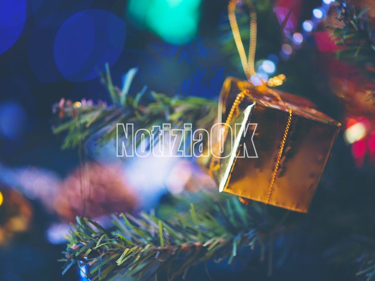 Lifestyle - Come mantenere in vita l’albero di Natale? - 