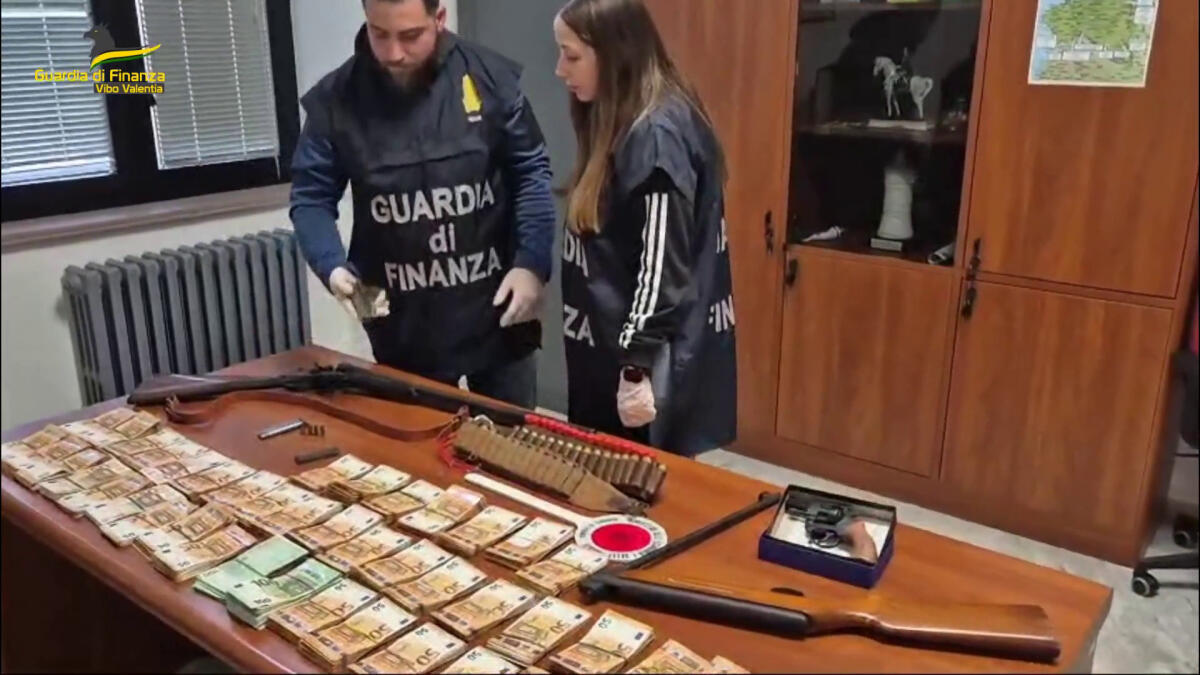 Vibo Valentia, possesso illegale di armi e munizioni. Un arresto - 