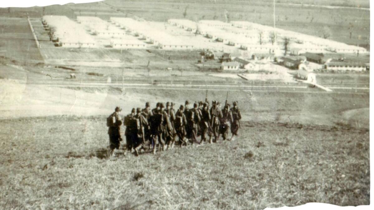 Ferramonti incontra…I.I.S. Lucrezia della Valle - 