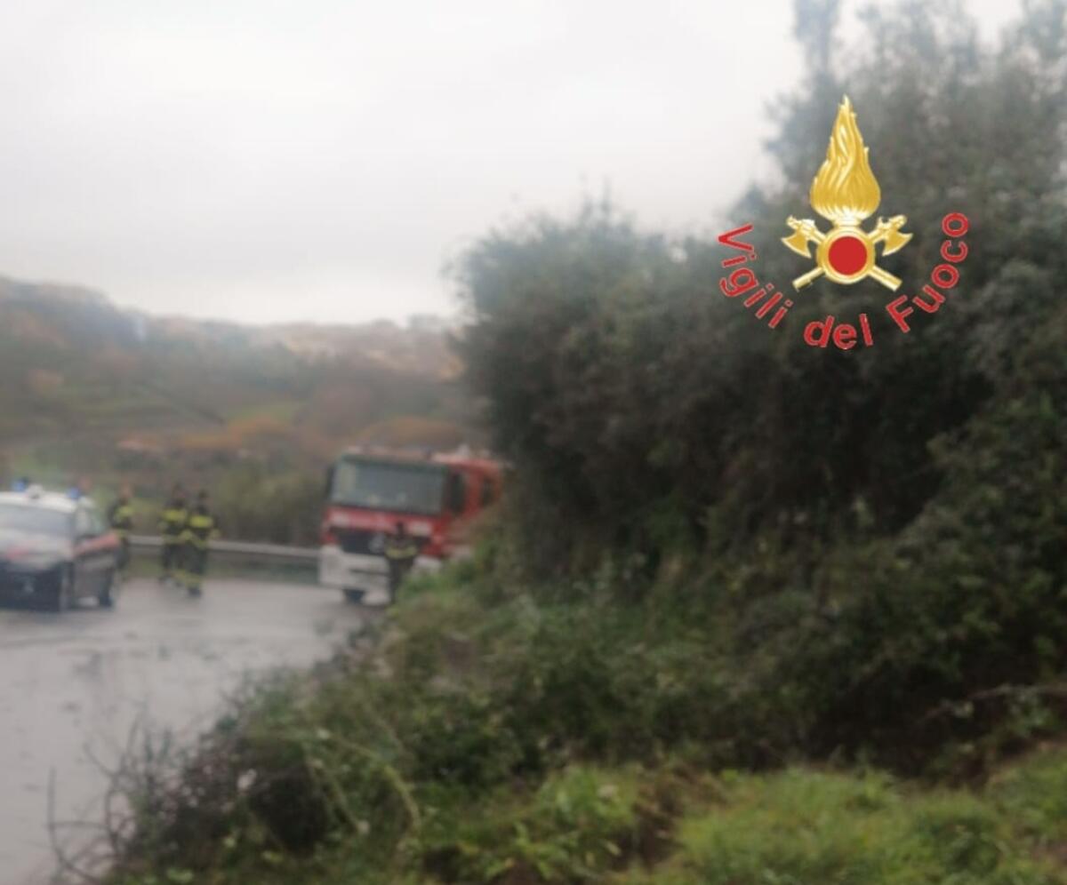 Maltempo in Calabria - Frane, alberi caduti e fiumi esondati a causa delle forti piogge e del vento - 