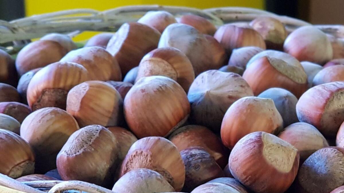 Scatta l’etichetta d’origine obbligatoria sulla frutta secca sgusciata  - 