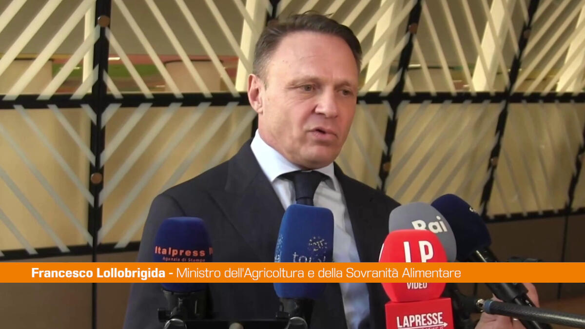 Mercosur, Lollobrigida "Servono regole comuni" -